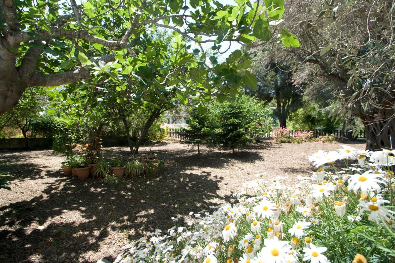 Alexandra Skiathos * Platanias (Skiathos)