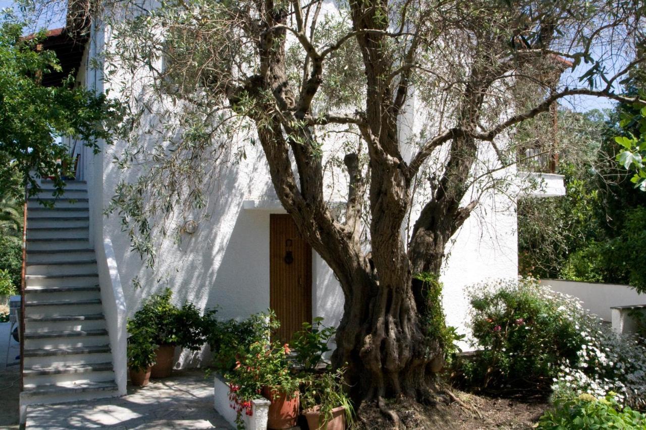 Alexandra Skiathos *